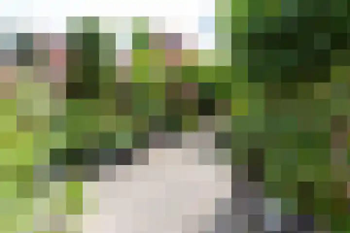 Appel acker 3 Heemskerk thumbnail 27