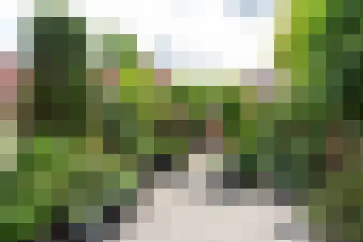 Appel acker 3 Heemskerk thumbnail 28