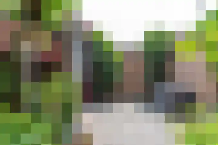 Appel acker 3 Heemskerk thumbnail 29