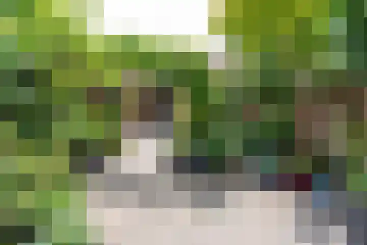 Appel acker 3 Heemskerk thumbnail 30