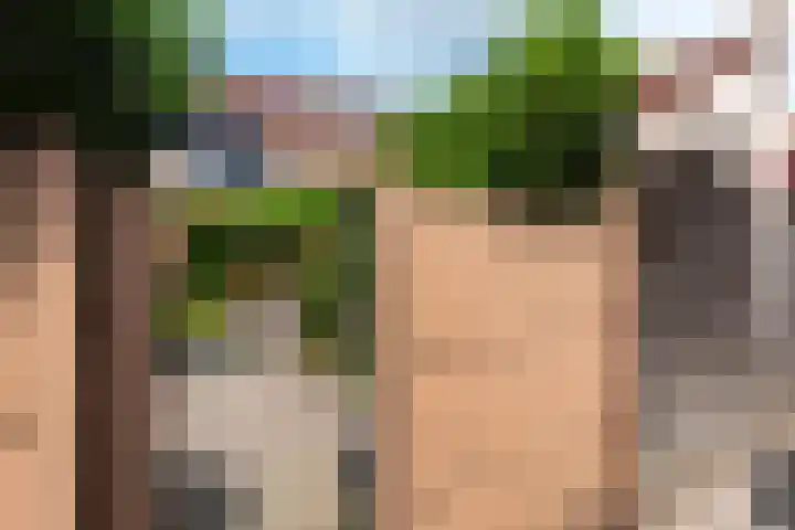 Appel acker 3 Heemskerk thumbnail 31