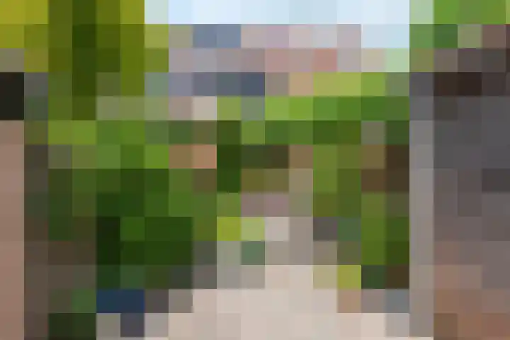 Appel acker 3 Heemskerk thumbnail 32