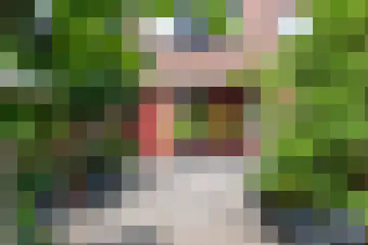 Appel acker 3 Heemskerk thumbnail 33