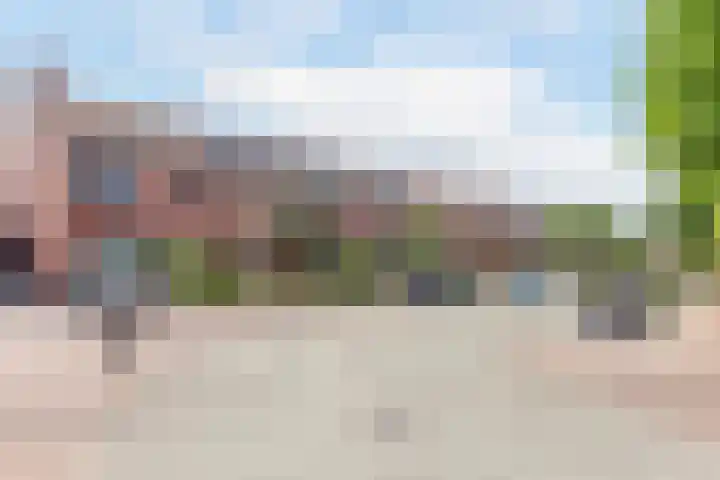 Appel acker 3 Heemskerk thumbnail 35