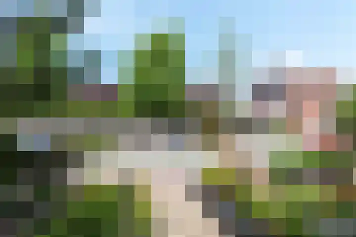 Appel acker 3 Heemskerk thumbnail 36