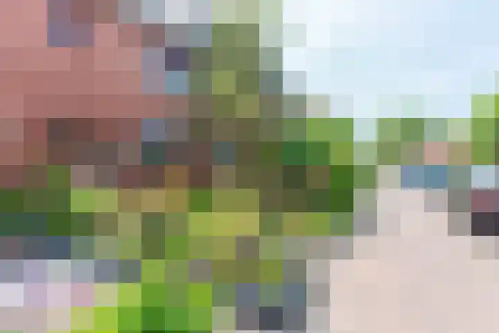 Appel acker 3 Heemskerk thumbnail 4