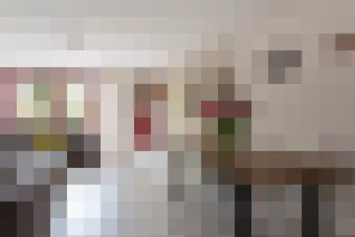 Appel acker 3 Heemskerk thumbnail 9