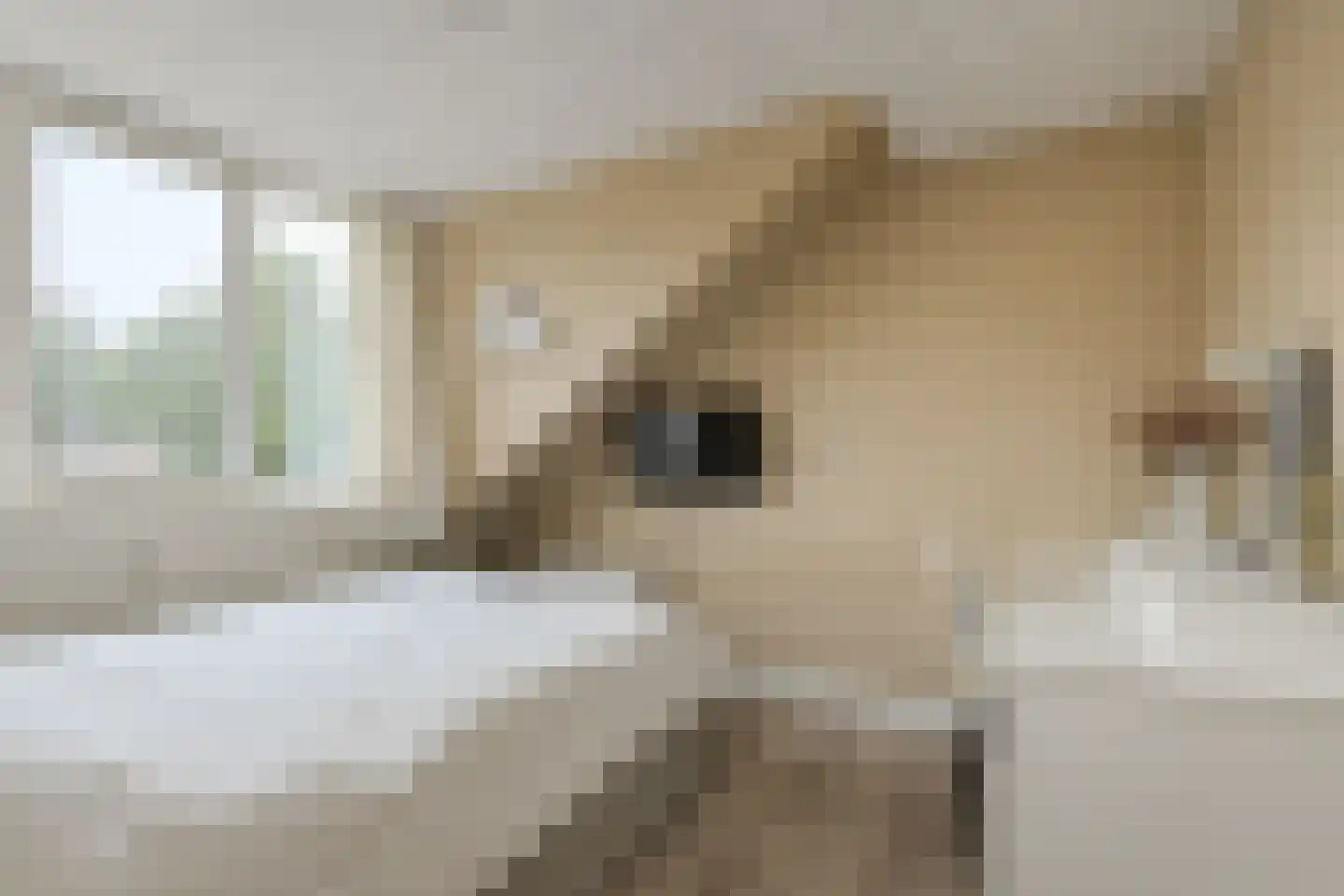 Appelaar 19 Oosterhout thumbnail 27