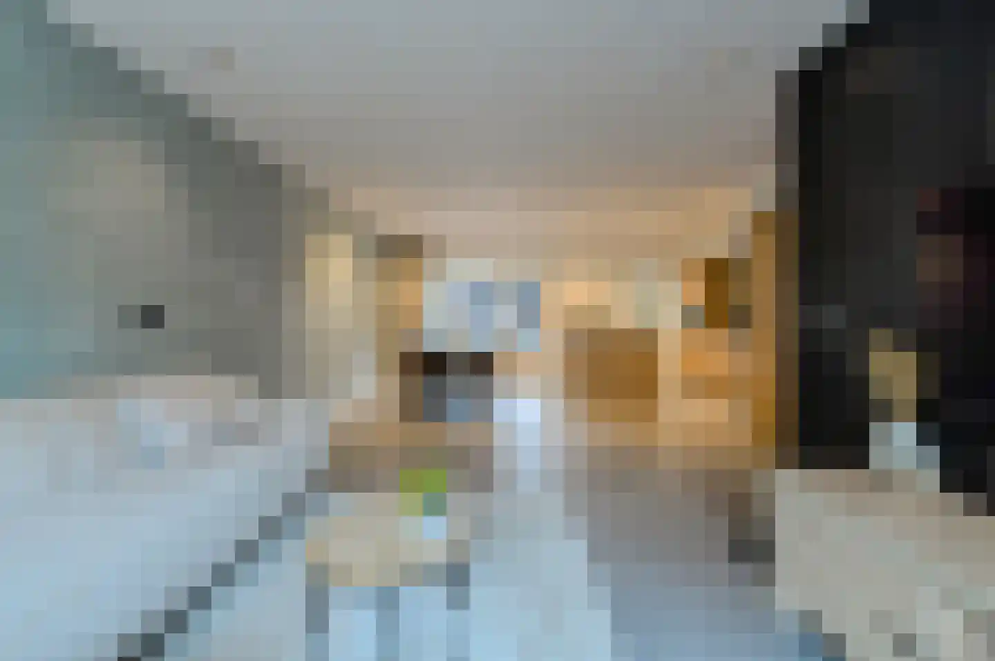 Appelaar 19 Oosterhout thumbnail 8