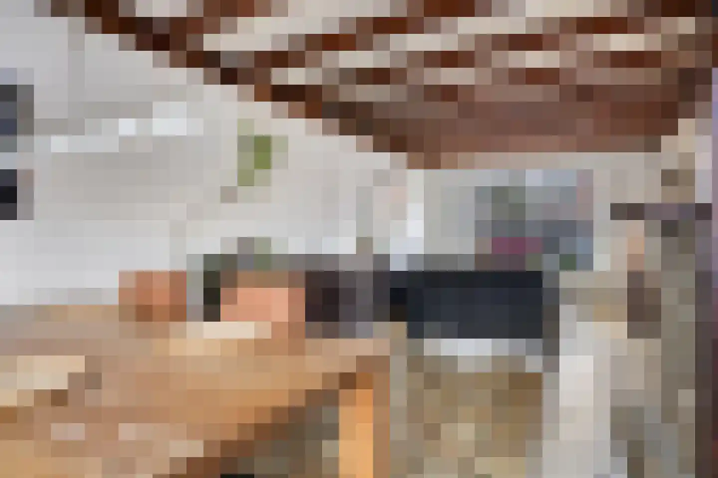 Appelaar 27 Oosterhout thumbnail 10