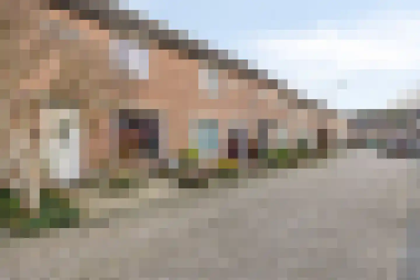 Appelaar 27 Oosterhout thumbnail 4