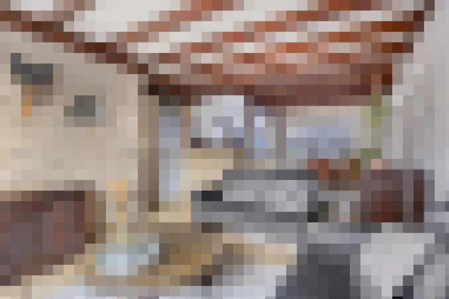 Appelaar 27 Oosterhout thumbnail 8