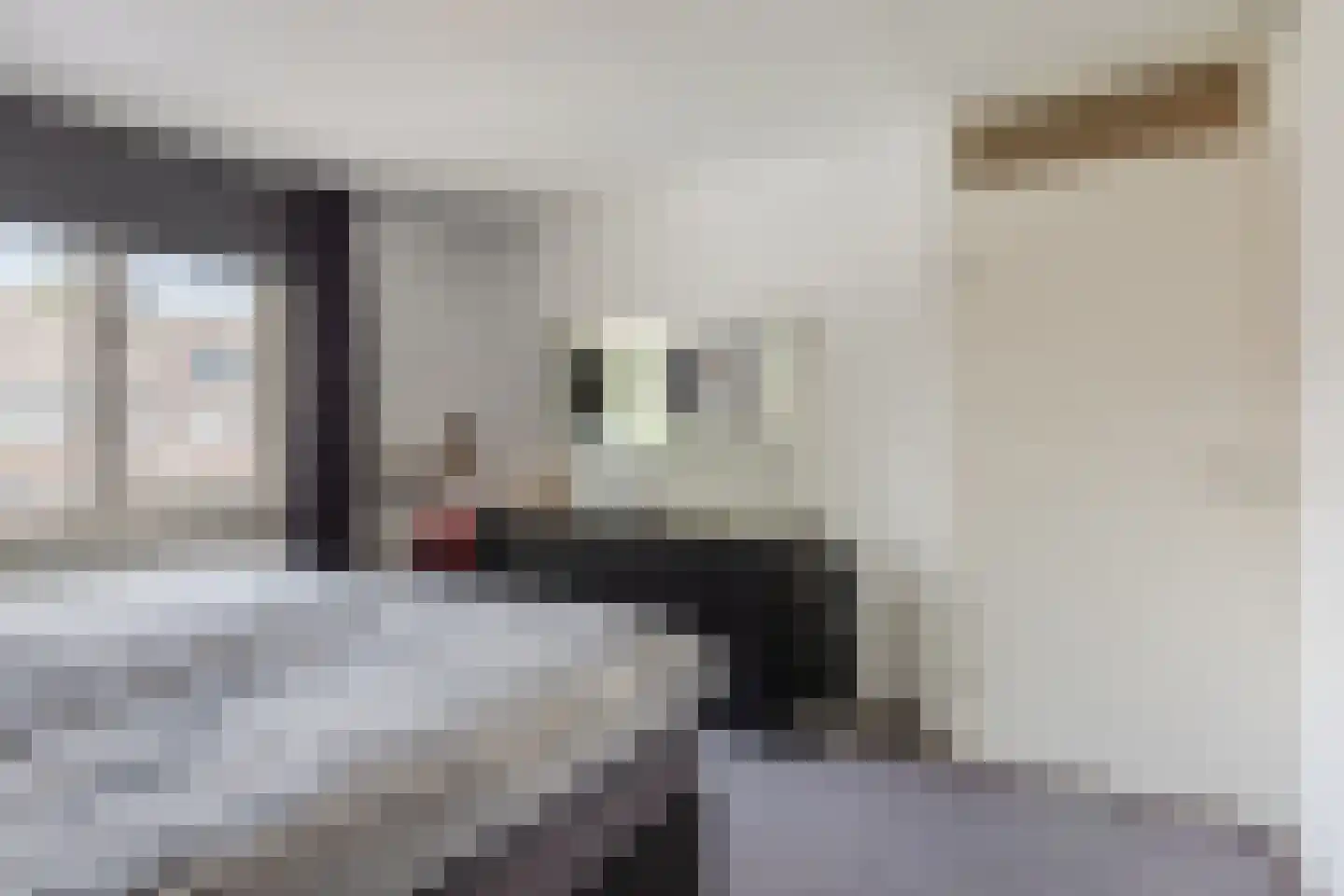 Appelaar 3 Oosterhout thumbnail 17