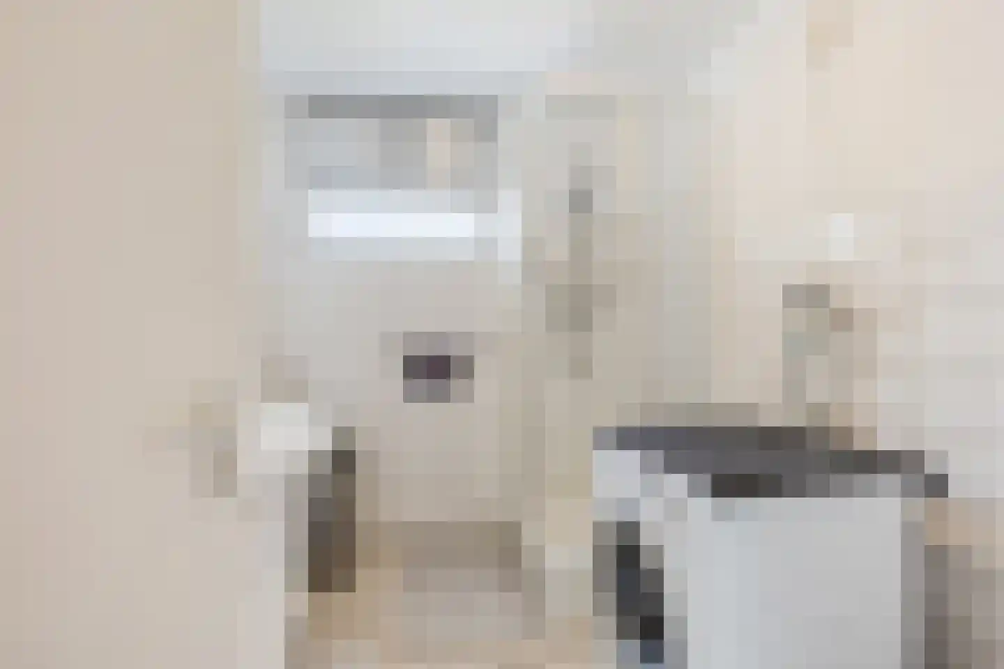 Appelaar 3 Oosterhout thumbnail 20