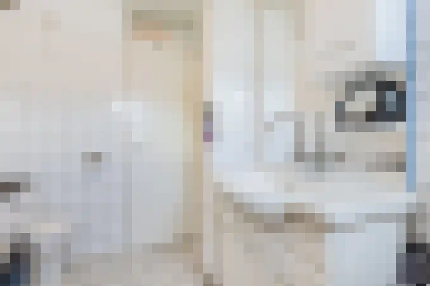 Appelaar 3 Oosterhout thumbnail 21