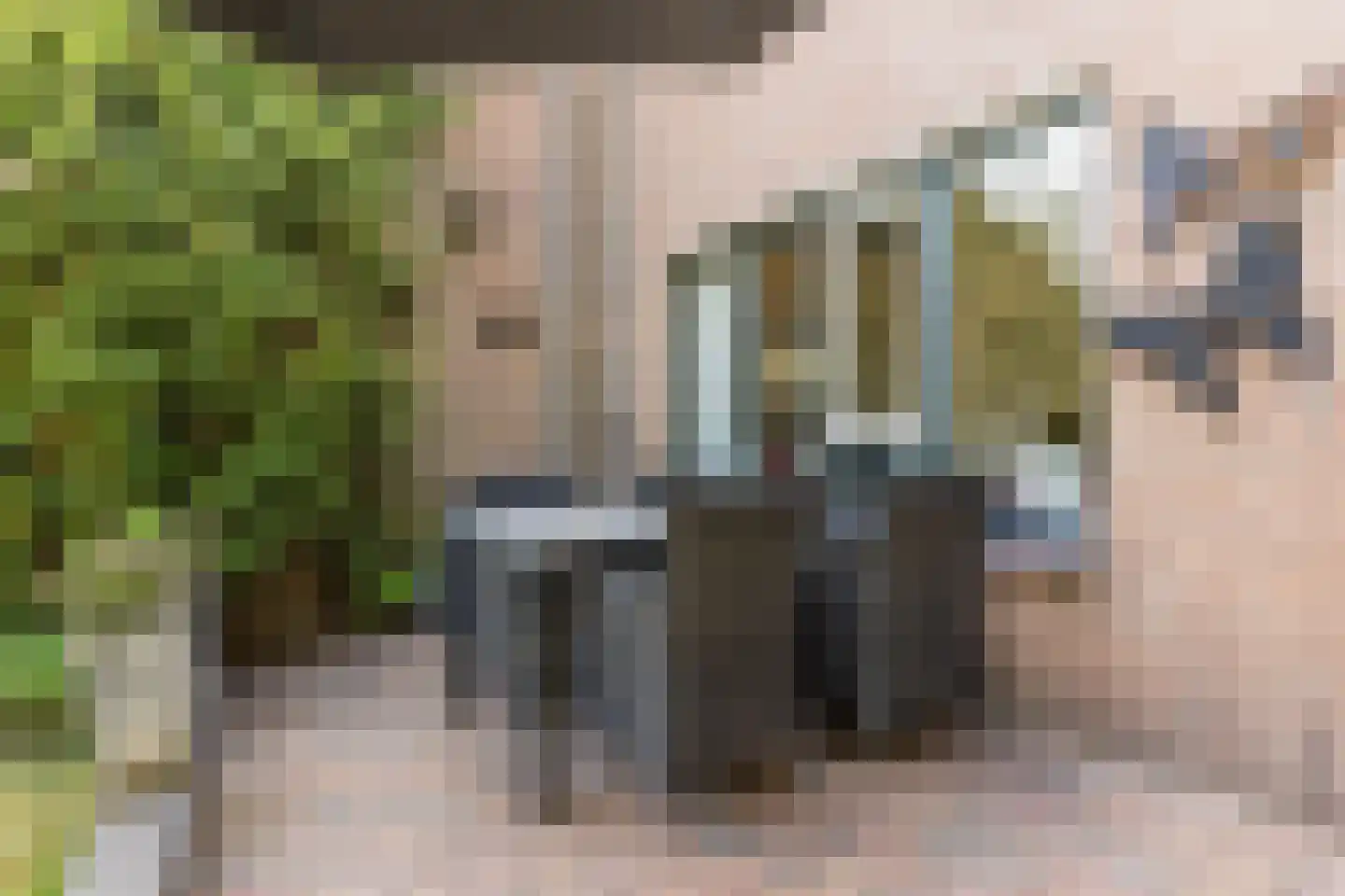 Appelaar 3 Oosterhout thumbnail 24