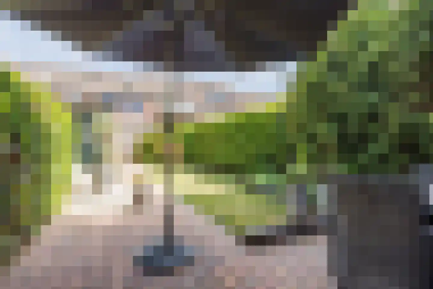 Appelaar 3 Oosterhout thumbnail 26
