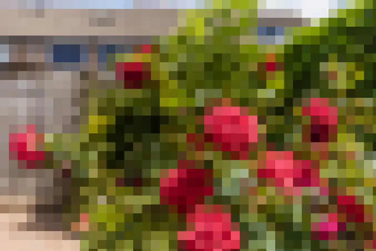 Appelaar 3 Oosterhout thumbnail 27
