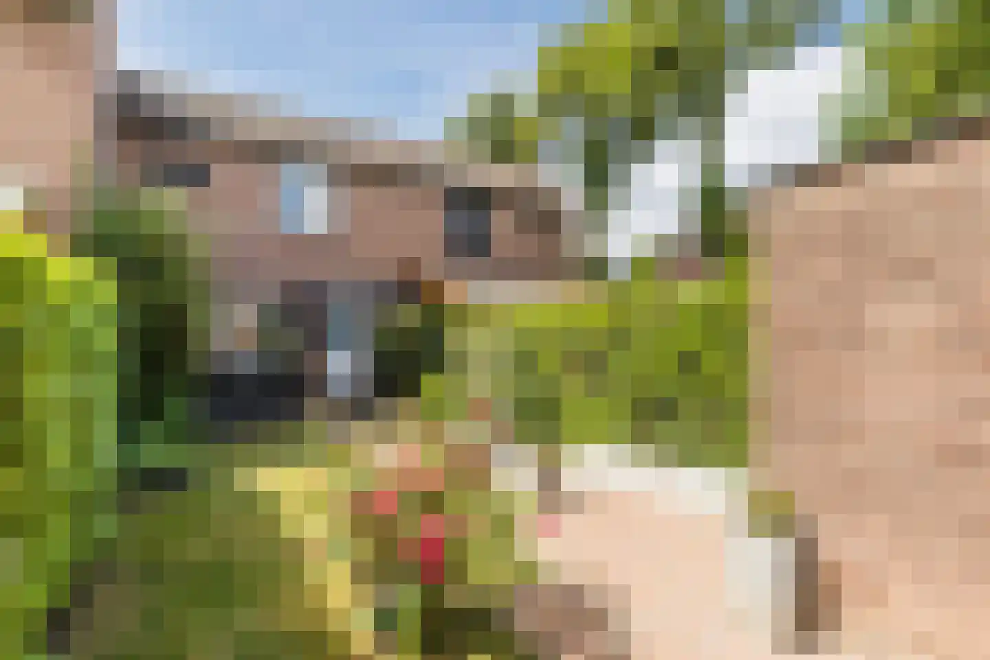 Appelaar 3 Oosterhout thumbnail 28