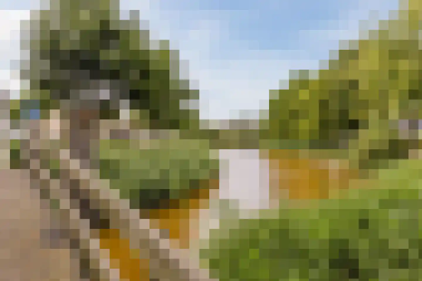 Appelaar 3 Oosterhout thumbnail 35