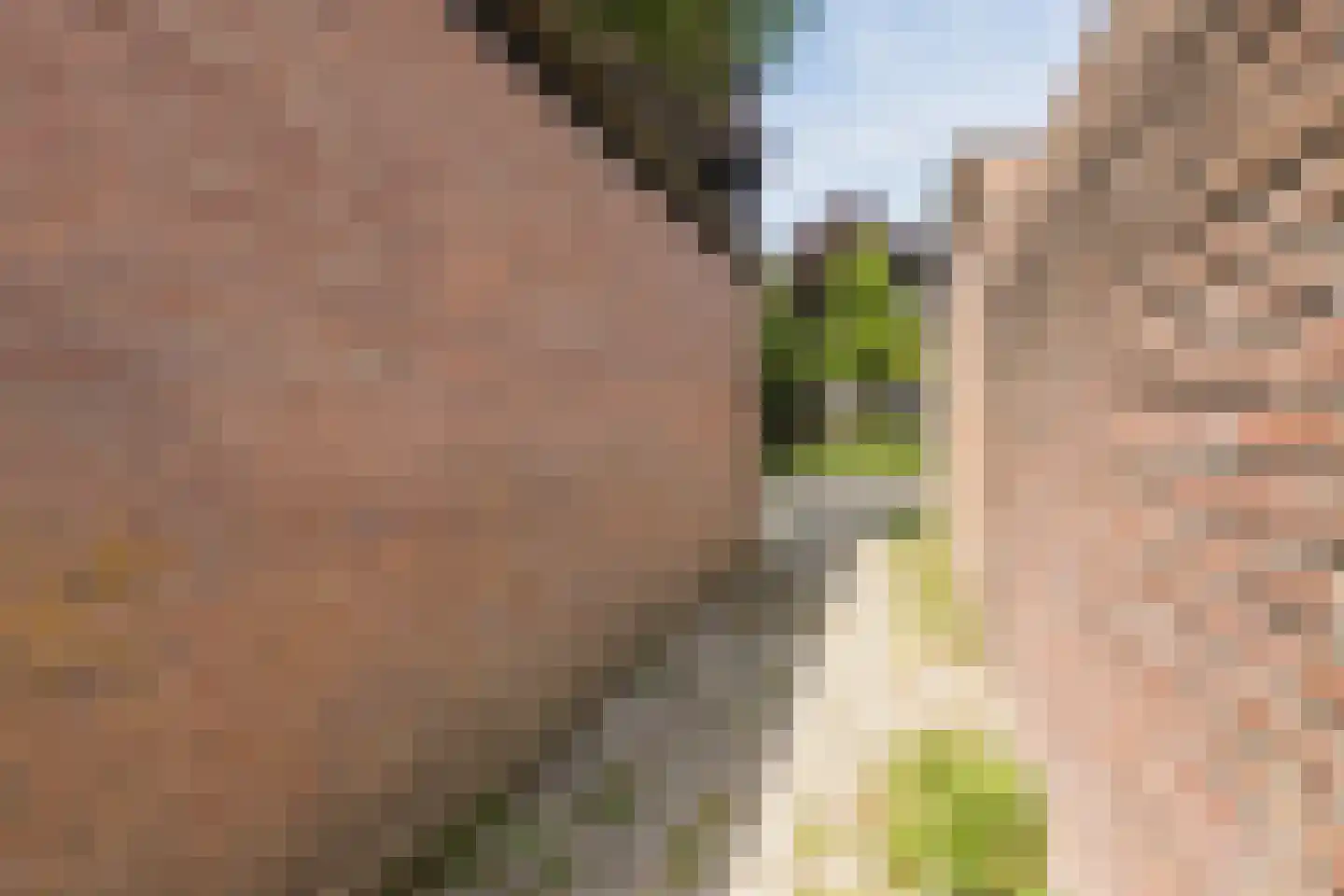 Appelaar 3 Oosterhout thumbnail 37