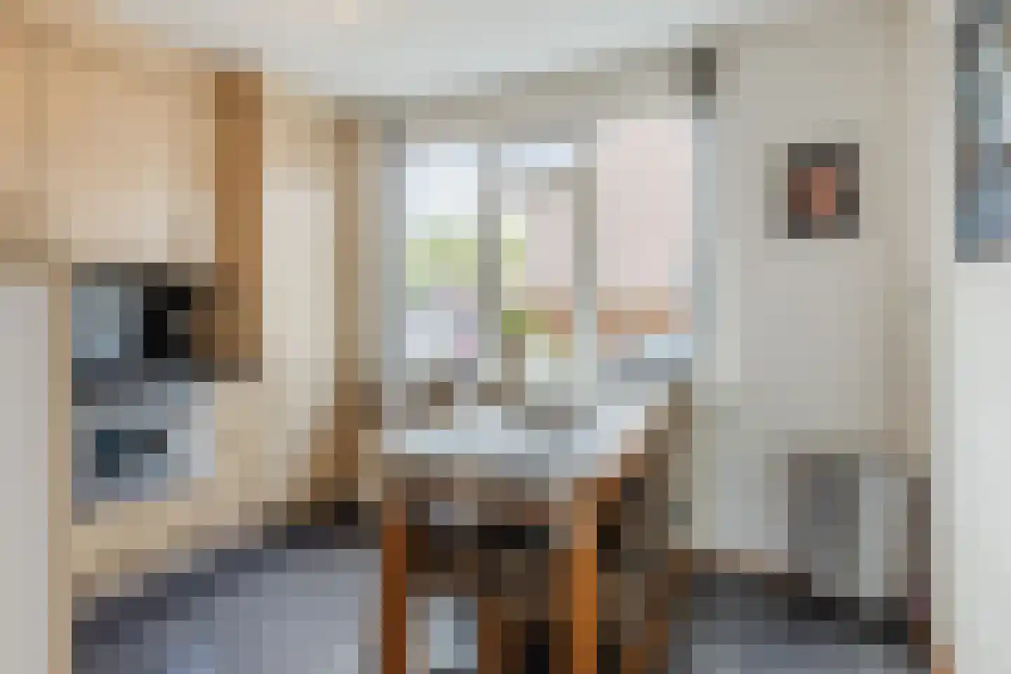 Appelaar 3 Oosterhout thumbnail 9