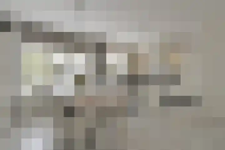 Appelaar 30 Oosterhout thumbnail 12
