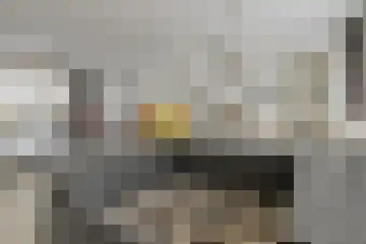 Appelaar 30 Oosterhout thumbnail 16