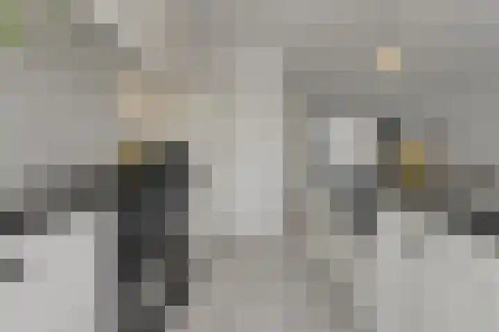 Appelaar 30 Oosterhout thumbnail 17