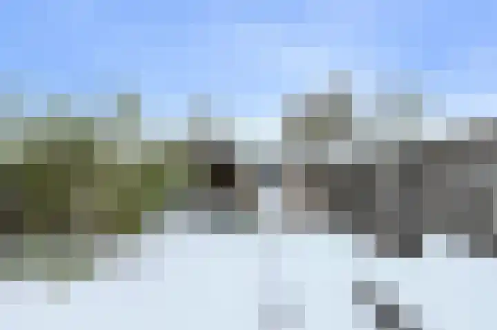 Appelaar 30 Oosterhout thumbnail 31