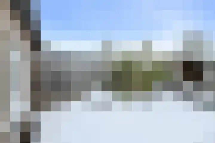 Appelaar 30 Oosterhout thumbnail 32