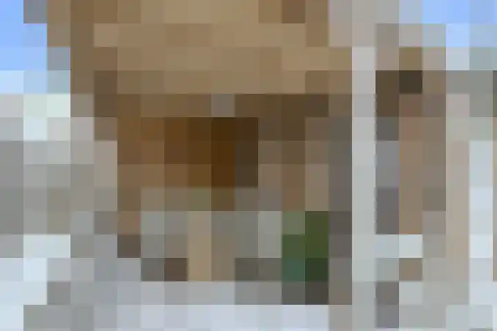 Appelaar 30 Oosterhout thumbnail 34