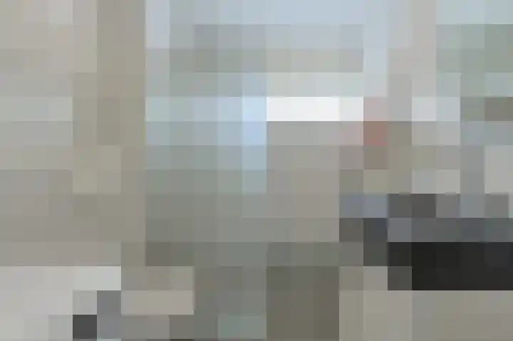 Appelaar 30 Oosterhout thumbnail 4
