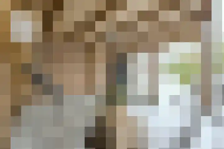 Appelaar 30 Oosterhout thumbnail 5