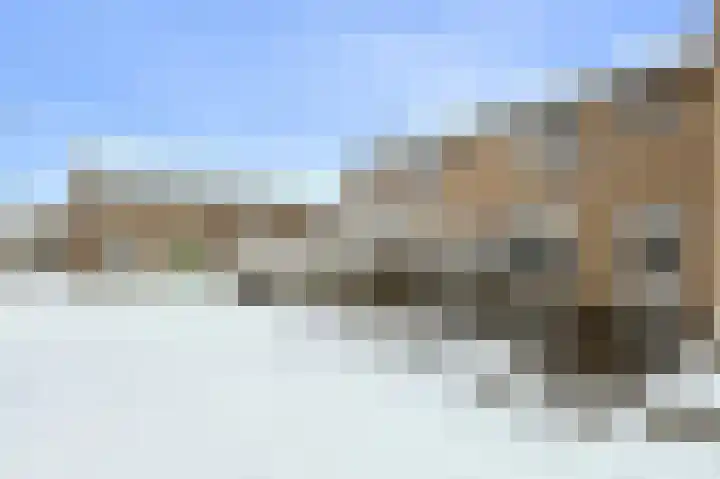 Appelaar 30 Oosterhout thumbnail 6