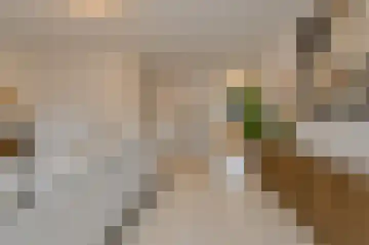 Appelaar 55 Oosterhout thumbnail 12
