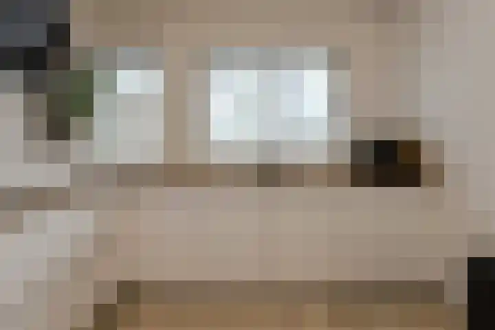 Appelaar 55 Oosterhout thumbnail 15