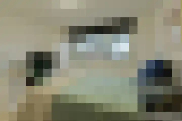 Appelaar 55 Oosterhout thumbnail 19