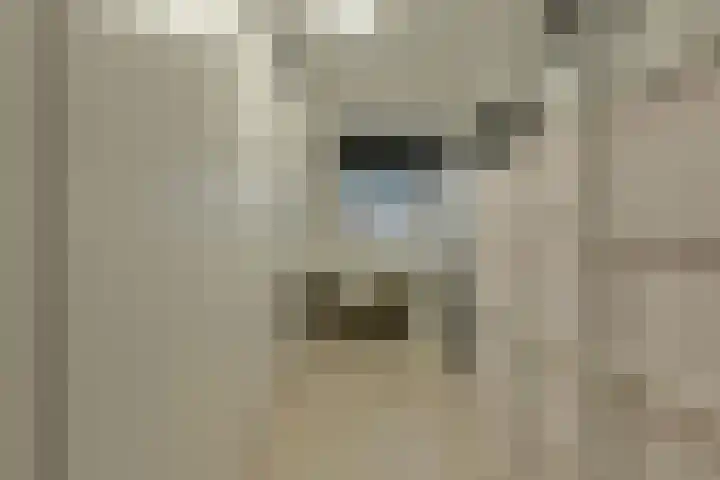 Appelaar 55 Oosterhout thumbnail 27