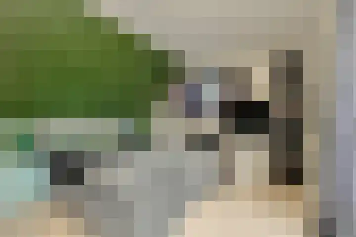 Appelaar 55 Oosterhout thumbnail 31