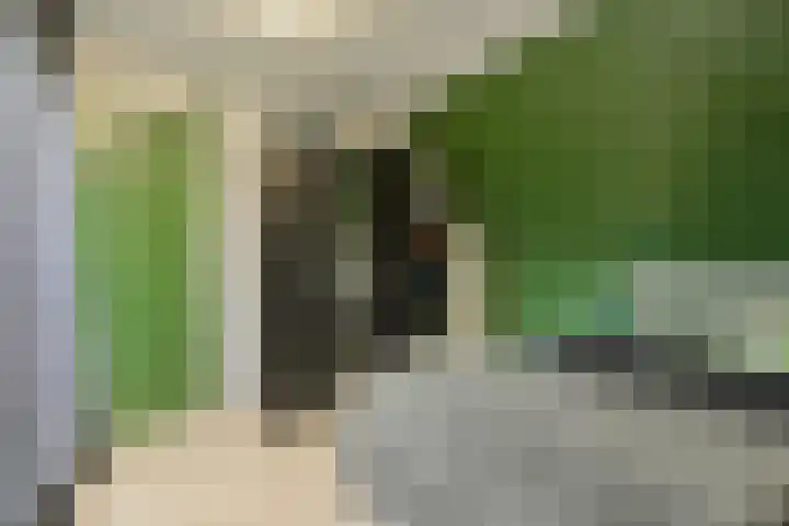 Appelaar 55 Oosterhout thumbnail 32
