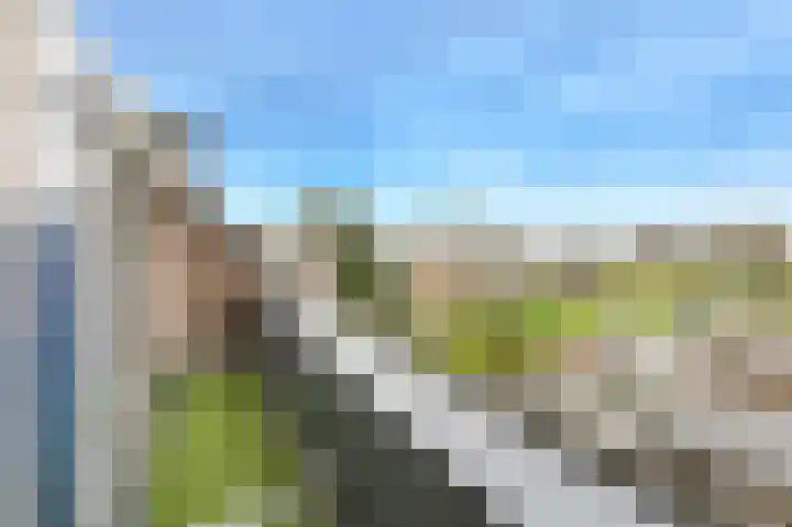 Appelaar 55 Oosterhout thumbnail 35