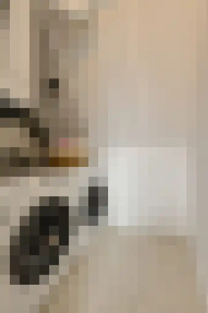 Appelaar 55 Oosterhout thumbnail 36
