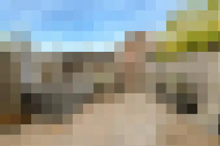Appelaar 55 Oosterhout thumbnail 37