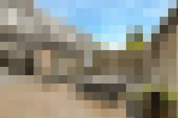 Appelaar 55 Oosterhout thumbnail 38