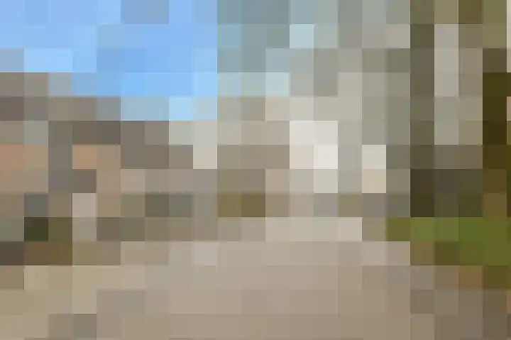 Appelaar 55 Oosterhout thumbnail 41