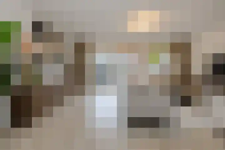 Appelaar 55 Oosterhout thumbnail 7