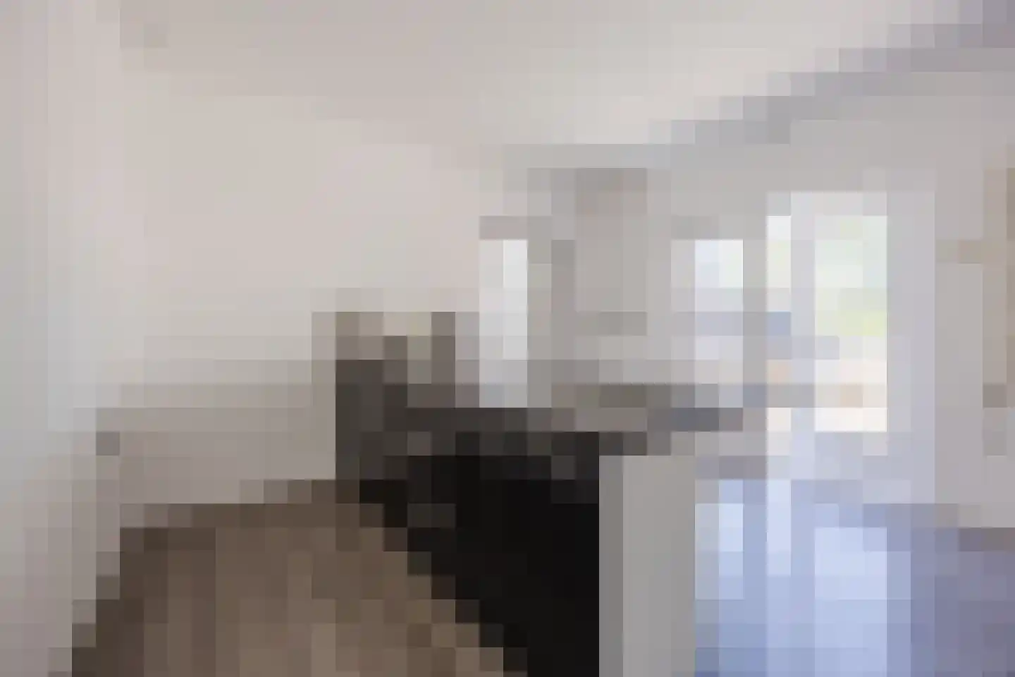 Appelaarsedijk 3 a Fijnaart thumbnail 19