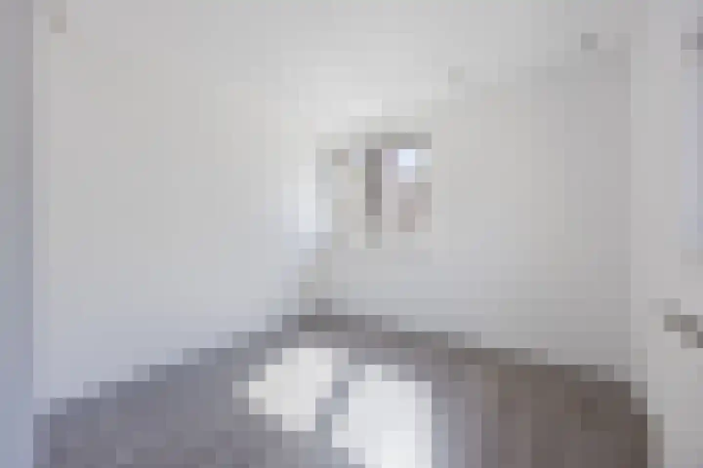 Appelaarsedijk 3 a Fijnaart thumbnail 22