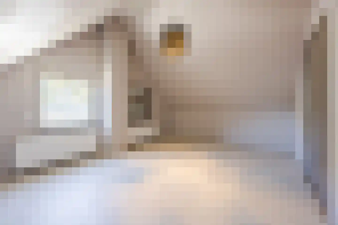 Appelaarsedijk 3 a Fijnaart thumbnail 30